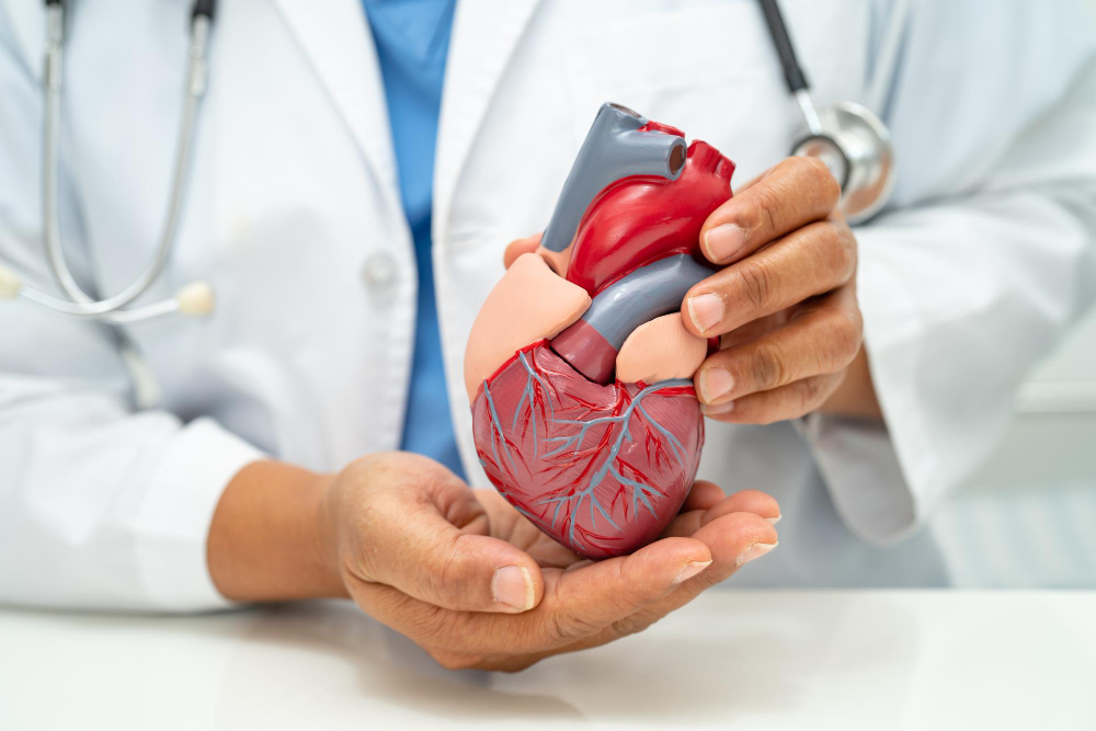 Comprehensive Guide to Heart Health: Symptoms and Tests