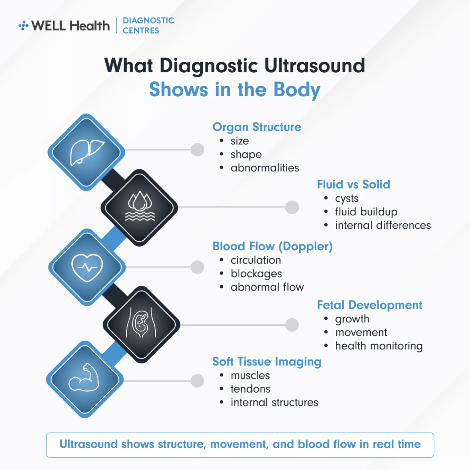 What Diagnostic Ultrasound Shows in the Body